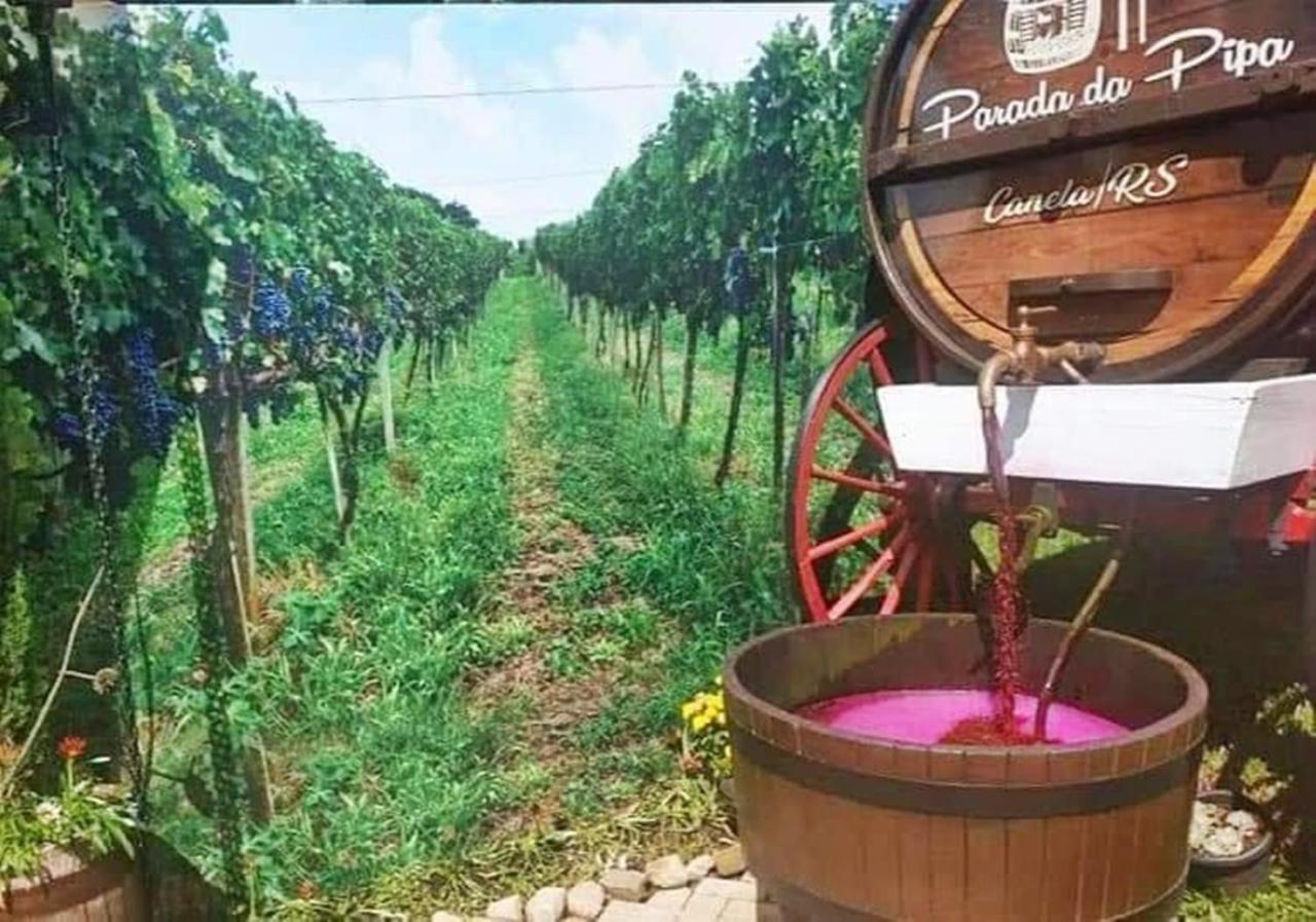 Chale Tematico Em Pipa De Vinho - Parada Da Pipa Chales กาเนรา ภายนอก รูปภาพ