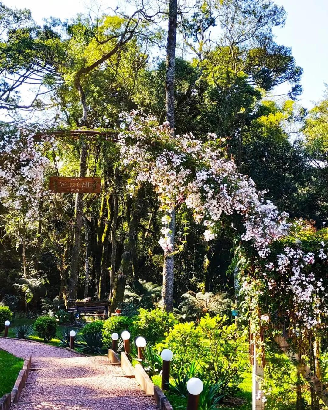 Chale Tematico Em Pipa De Vinho - Parada Da Pipa Chales กาเนรา ภายนอก รูปภาพ